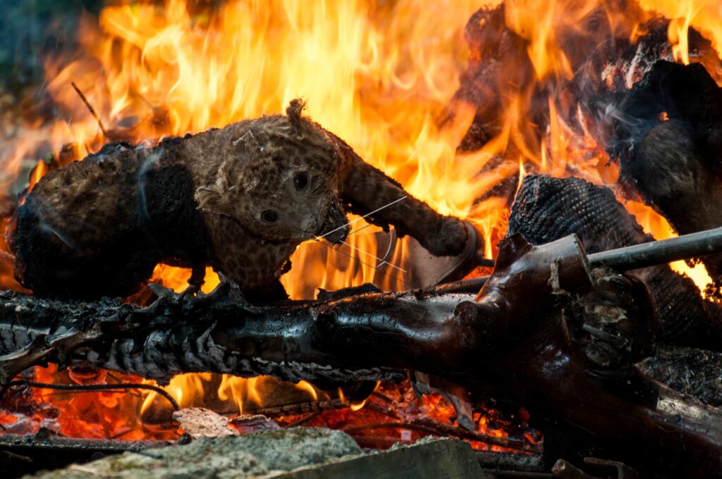 PRESERVED ANIMALS DESTROYED