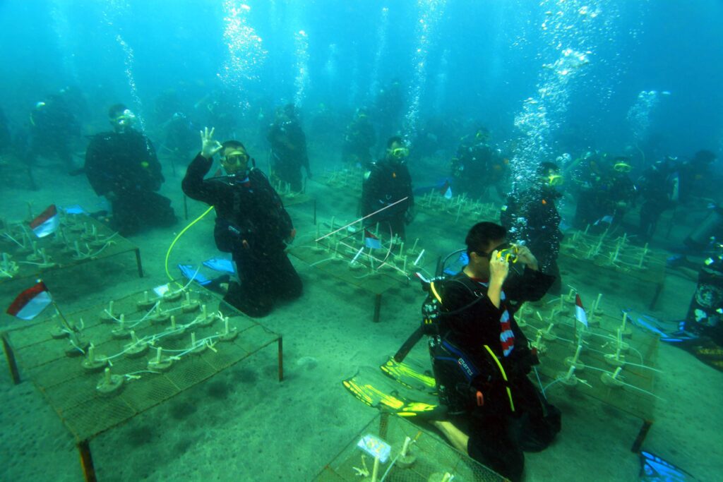 CORAL REEFS PLANTING IN MANADO