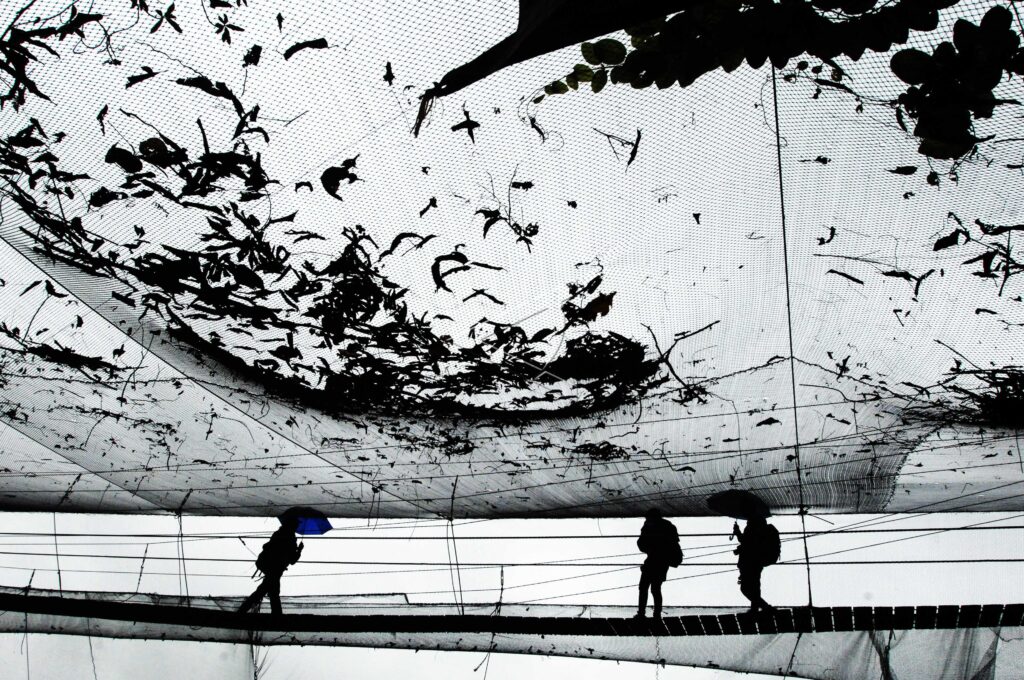 TAMAN PENANGKARAN KUPU-KUPU BANTIMURUNG