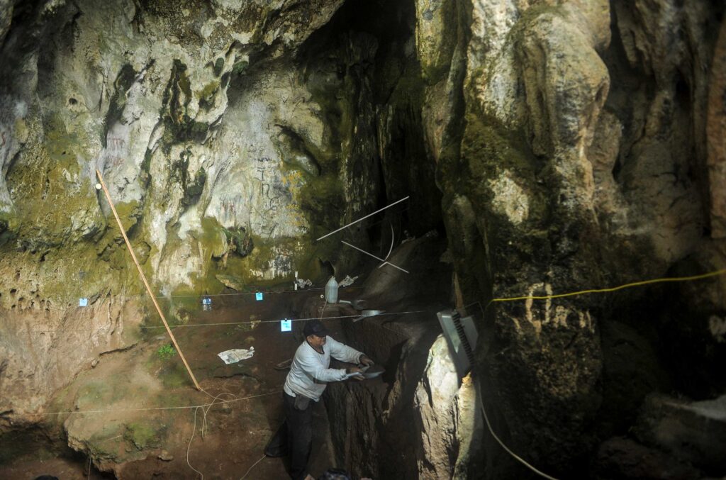 THE EXCAVATION OF PAWON HUMANS