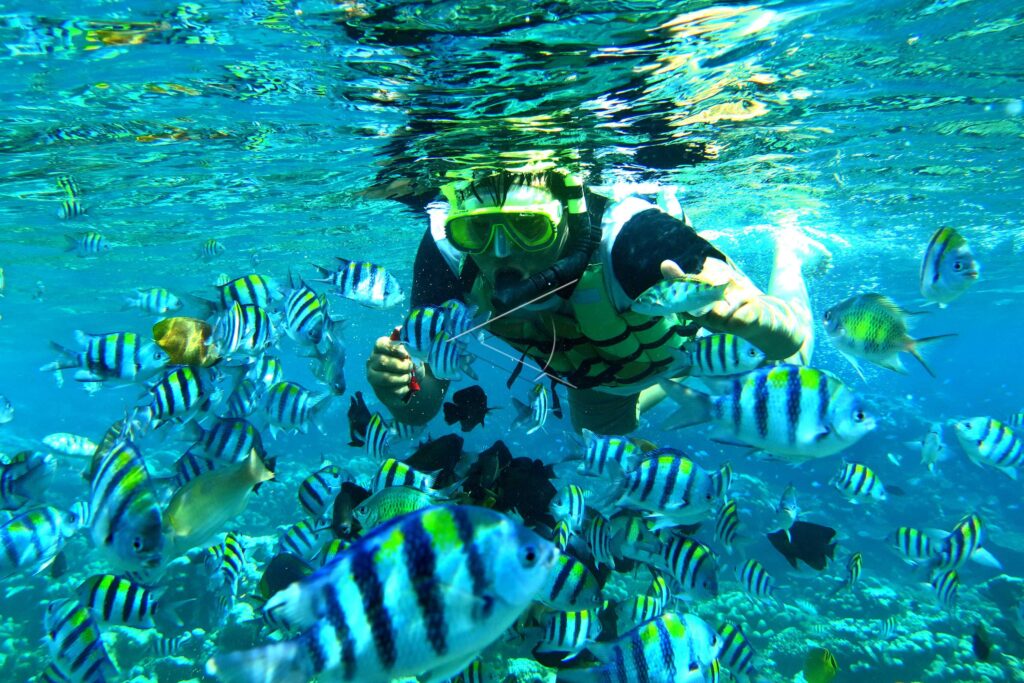 OLELE MARINE PARK