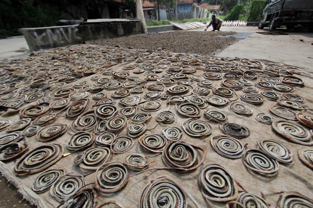 WATER SNAKE PROCESSING