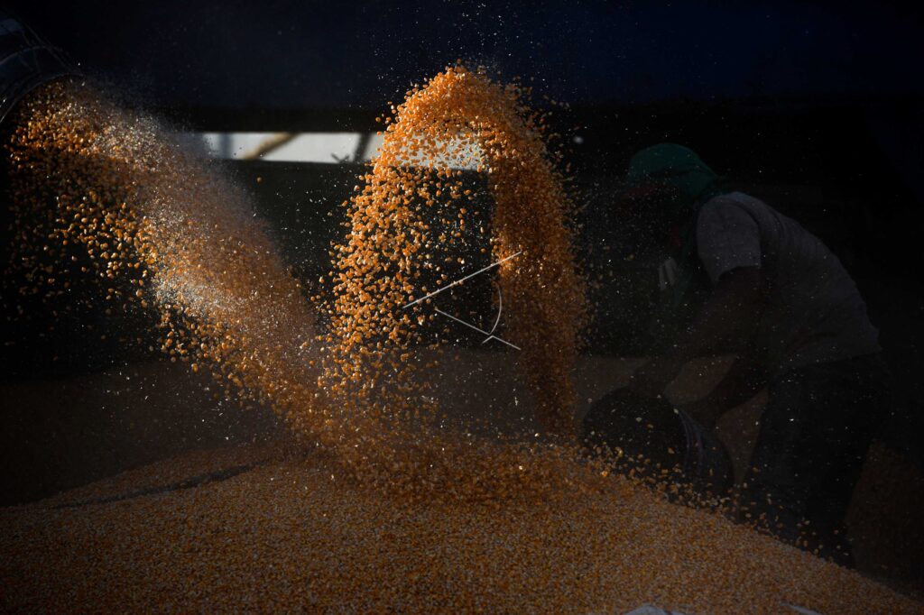 CORNS UNLOADING ACTIVITIES