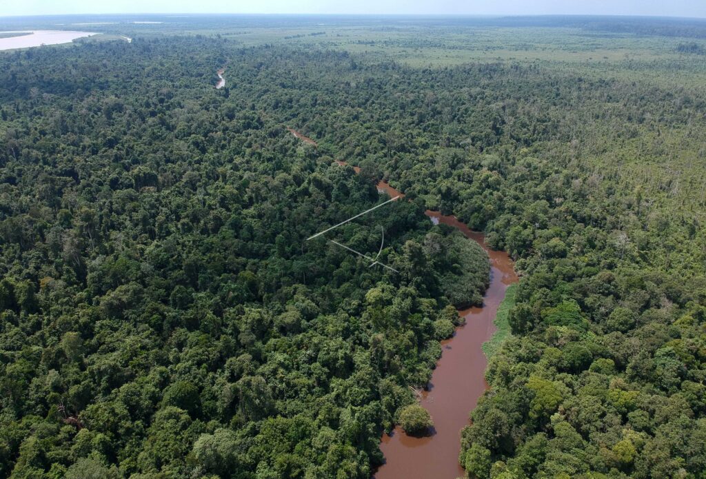 BERBAK AND SEMBILANG NATIONAL PARK