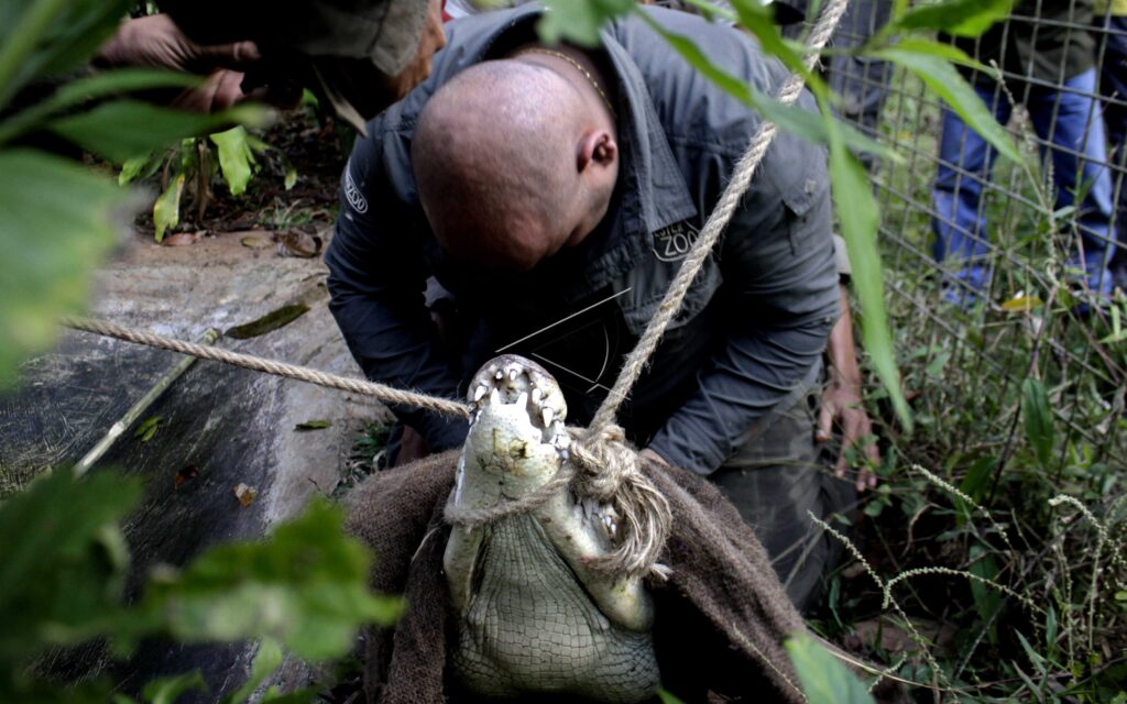 REPTILE HANDLING TECHNIQUE TRAINING