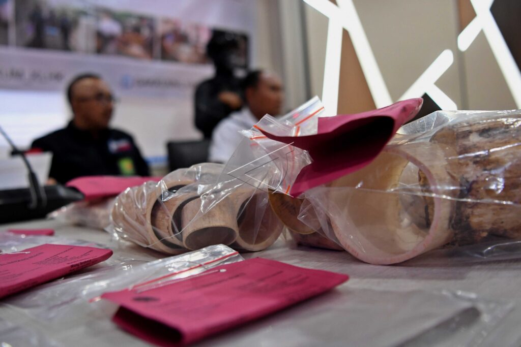 ELEPHANT IVORY TRADE