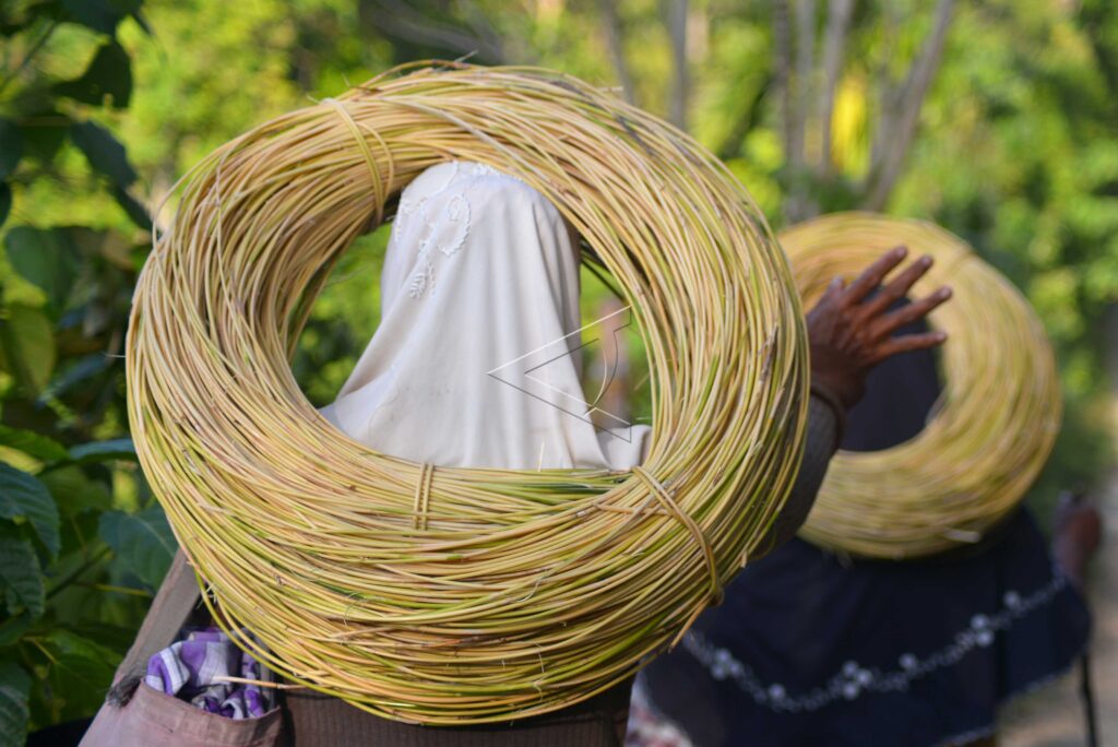 WOMEN LOOKING FOR RATTAN