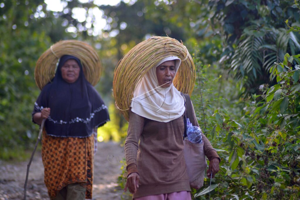 WOMEN LOOKING FOR RATTAN