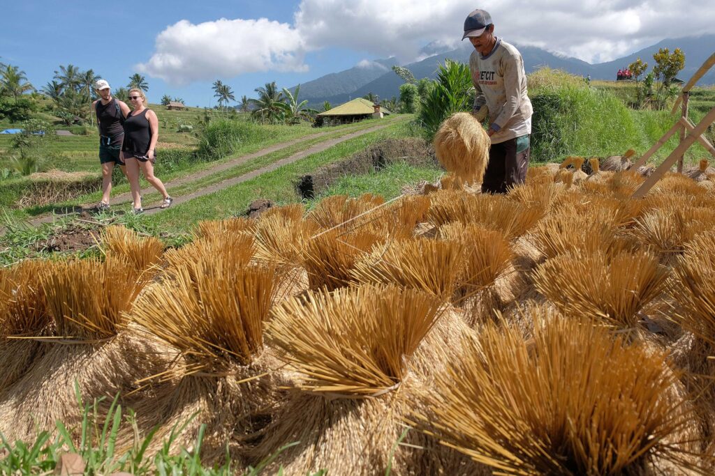 JATILUWIH RICE FIELDS TOURISM AREA