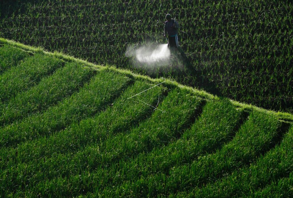 LAHAN SAYUR DI TAWANGMANGU