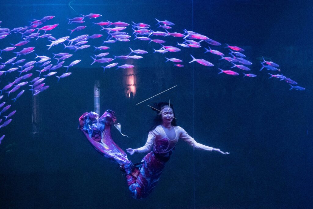 Magical Wondersea Show