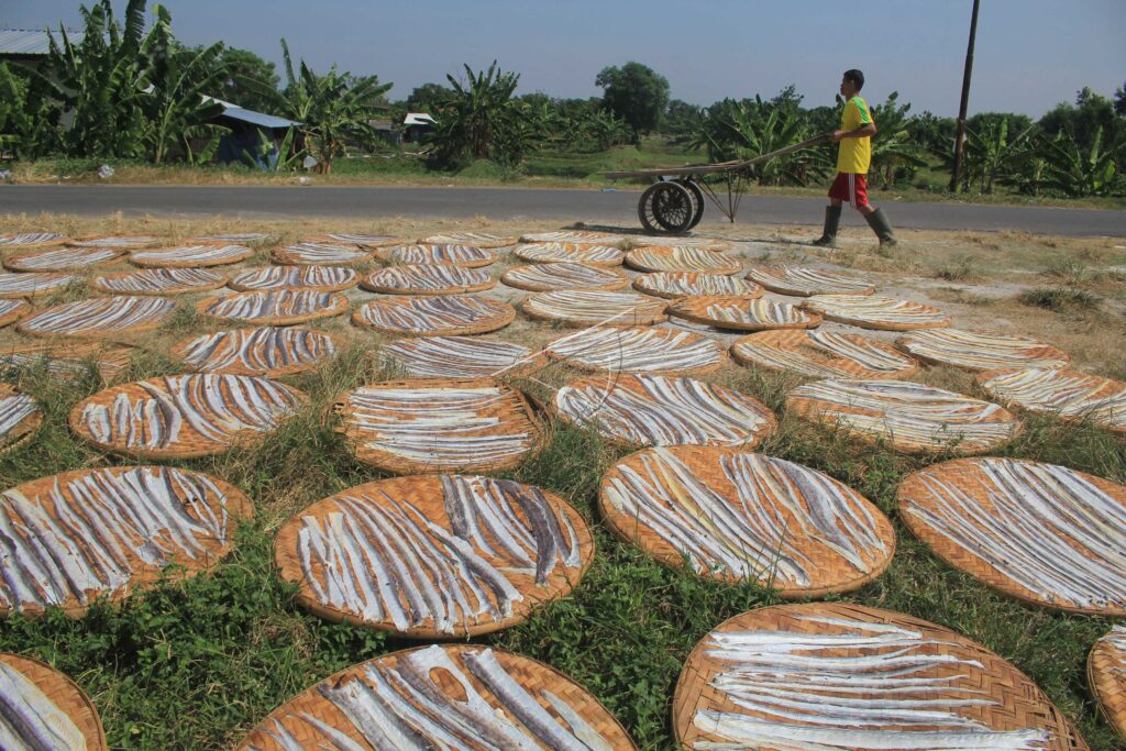 FISH LEATHER CRACKER PRODUCTION