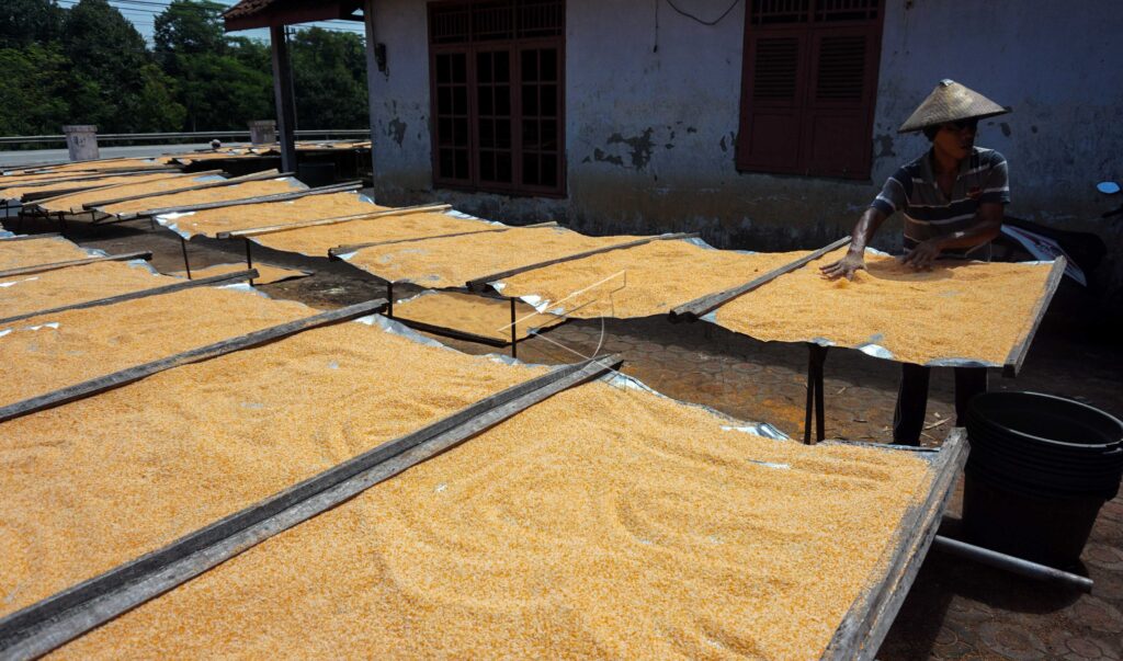 BREAD CRUMBS PRODUCTION