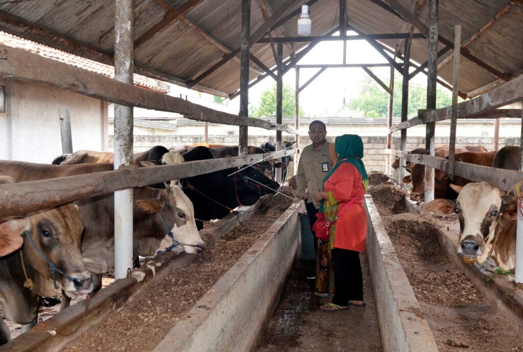PROGRAM KEMITRAAN PERTAMINA