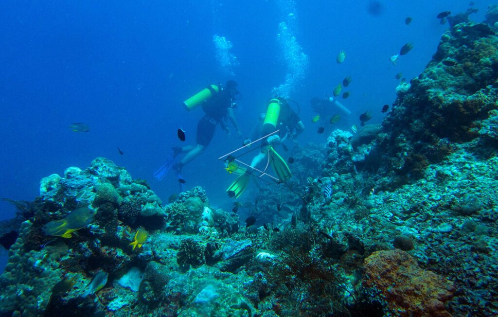 WEST BALI NATIONAL PARK WATER TOURISM