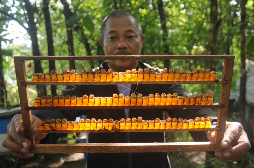 ROYAL JELLY HONEY BEES