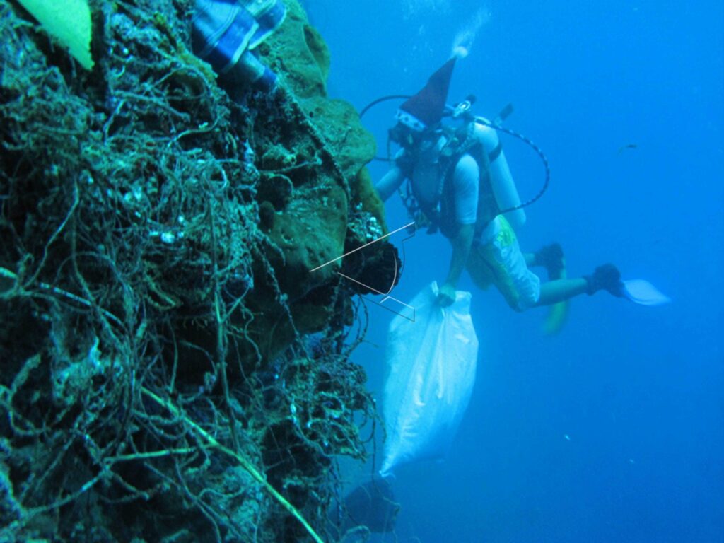 DIVING IN BUNAKEN NATIONAL PARK