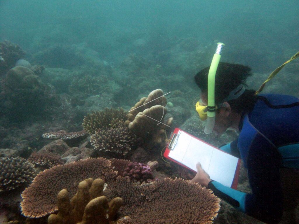 INVENTORY OF UNDERWATER WEALTH