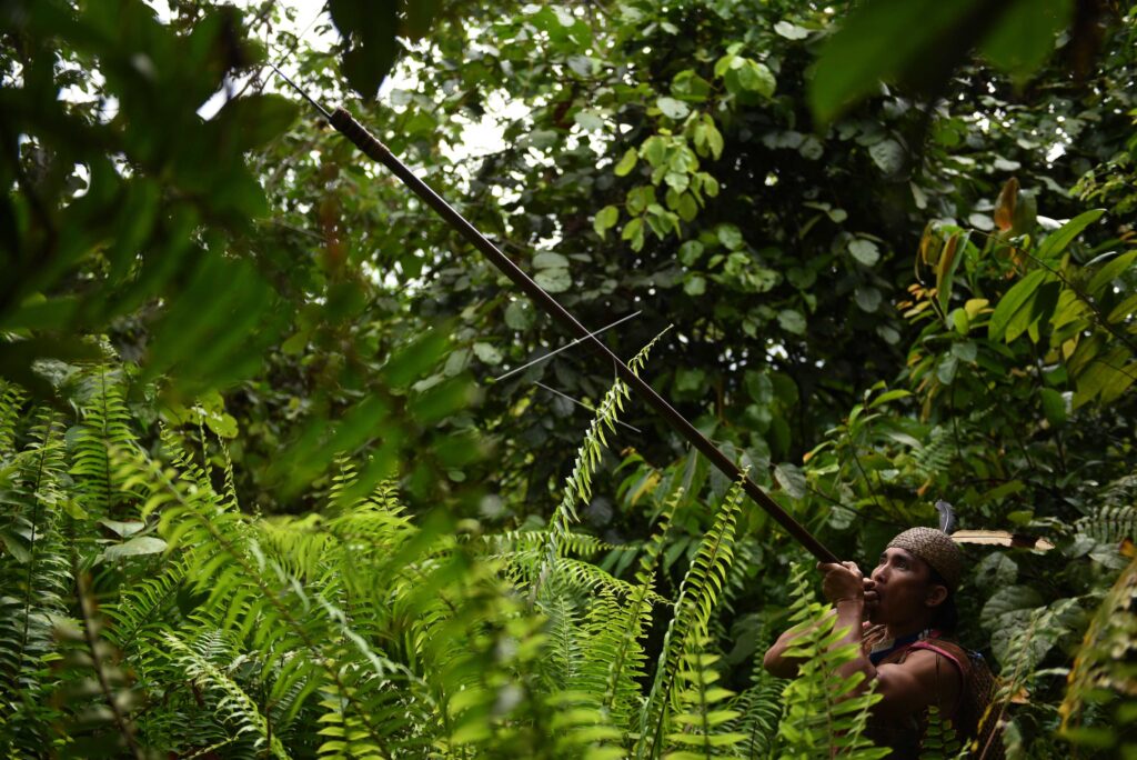 DAYAK KENYAH BLOWGUN