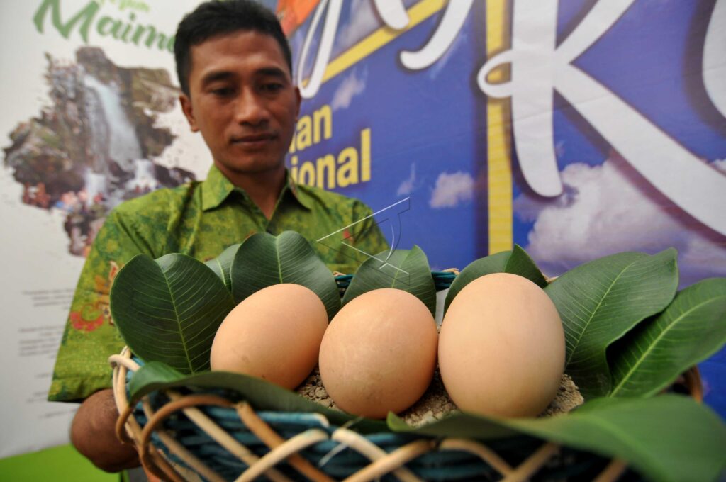 MALEO PROTECTION SOCIALIZATION