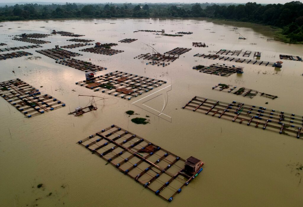 FISH FLOATING CAGES IN TELUK KENALI LAKE