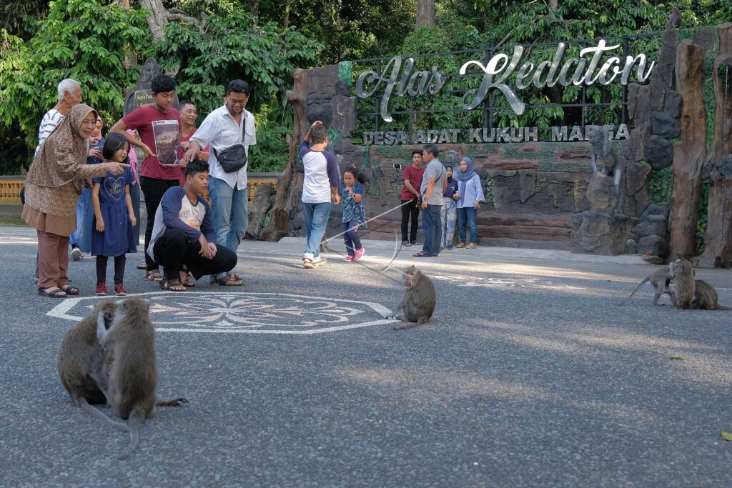 ALAS KEDATON TOURIST ATTRACTION