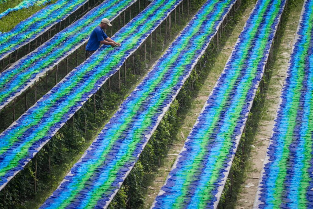 BEACH FABRIC COLORING