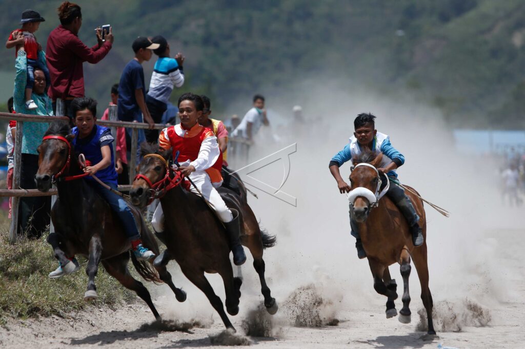 GAYO TRADITIONA HORSERACING