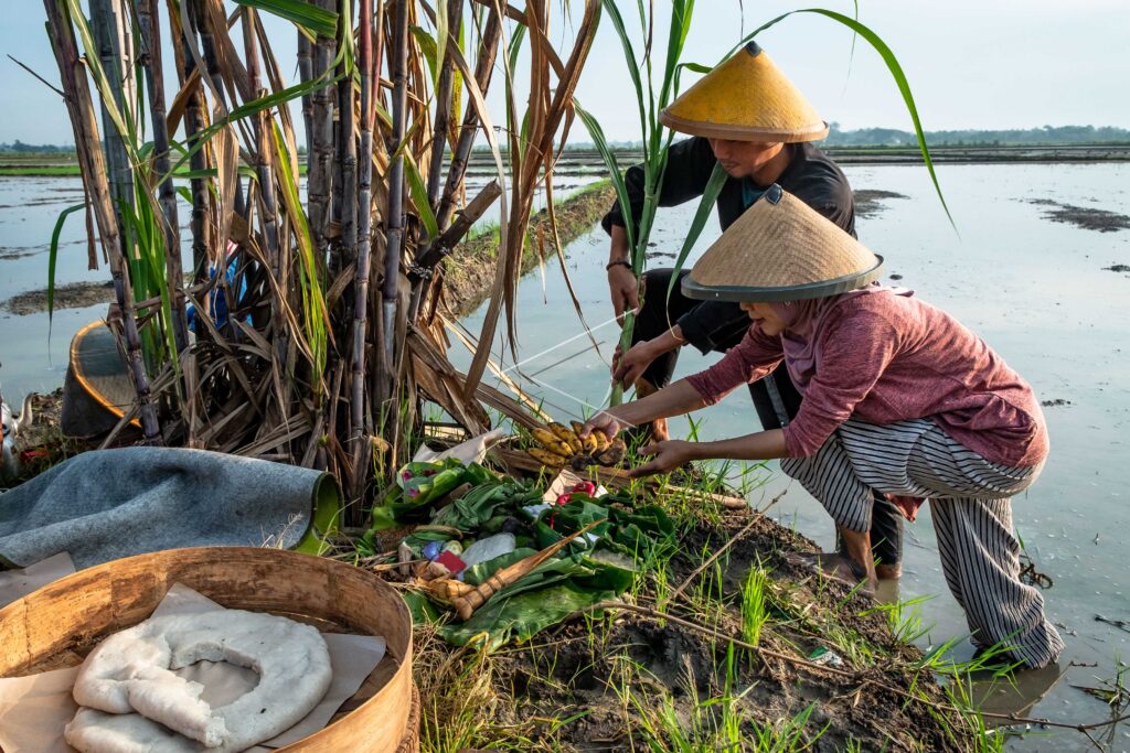 THE WIWITAN NANDUR PARI TRADITION