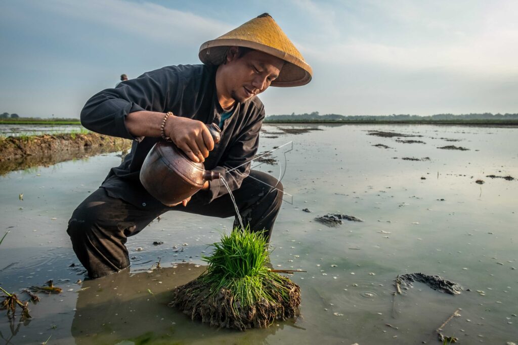 THE WIWITAN NANDUR PARI TRADITION