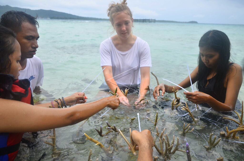 CORAL REEFS TRANSPLANTATION