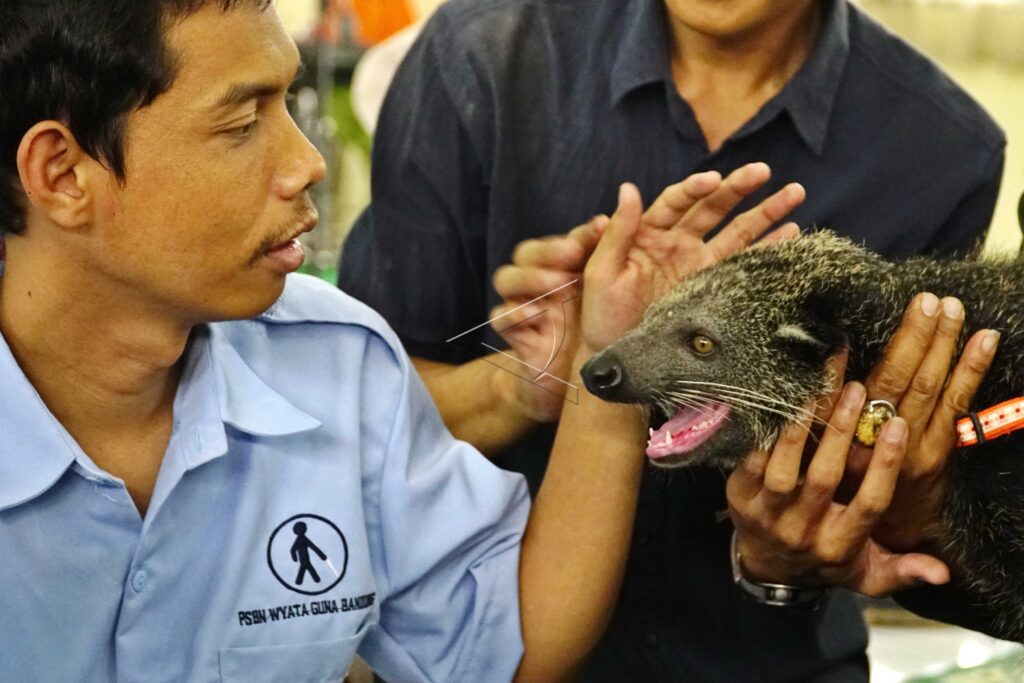 BLIND STUDENTS GET TO KNOW ANIMALS