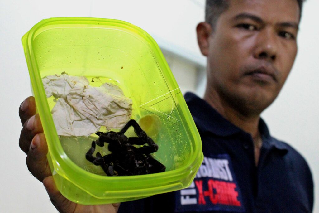 FOREIGN NATIONAL ILLEGAL ANIMAL SAMPLING IN WEST KALIMANTAN