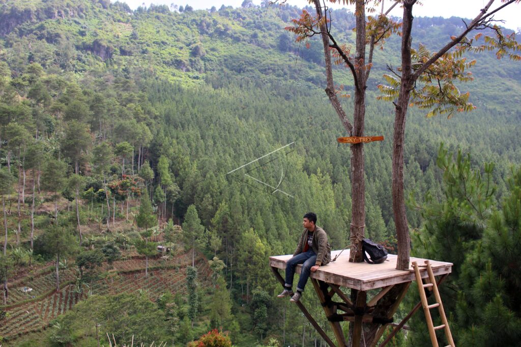 LEMBANG FOREST AREA