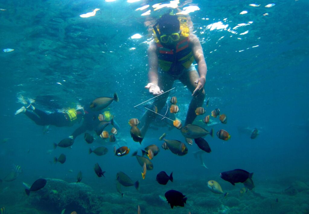 WISATA BAWAH LAUT GILI TRAWANGAN