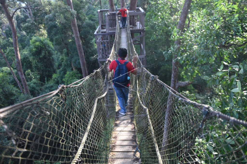 CANOPY BRIDGE BUKIT BANGKIRAI