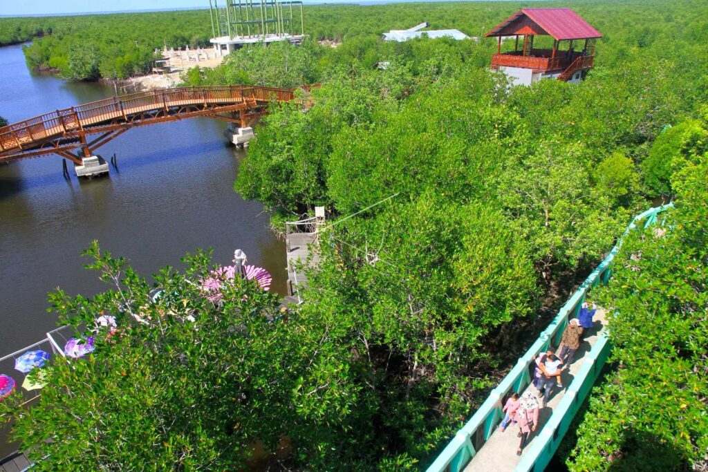 WISATA HUTAN MANGROVE KUALA LANGSA