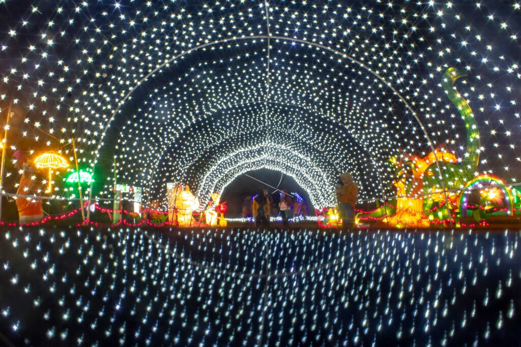 WISATA MALAM TAMAN CAHAYA