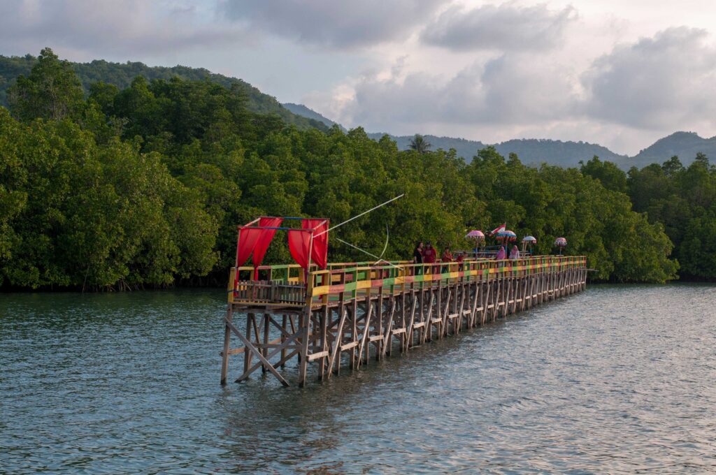 GONENGGATI MANGROVE TOURIST ATTRACTION