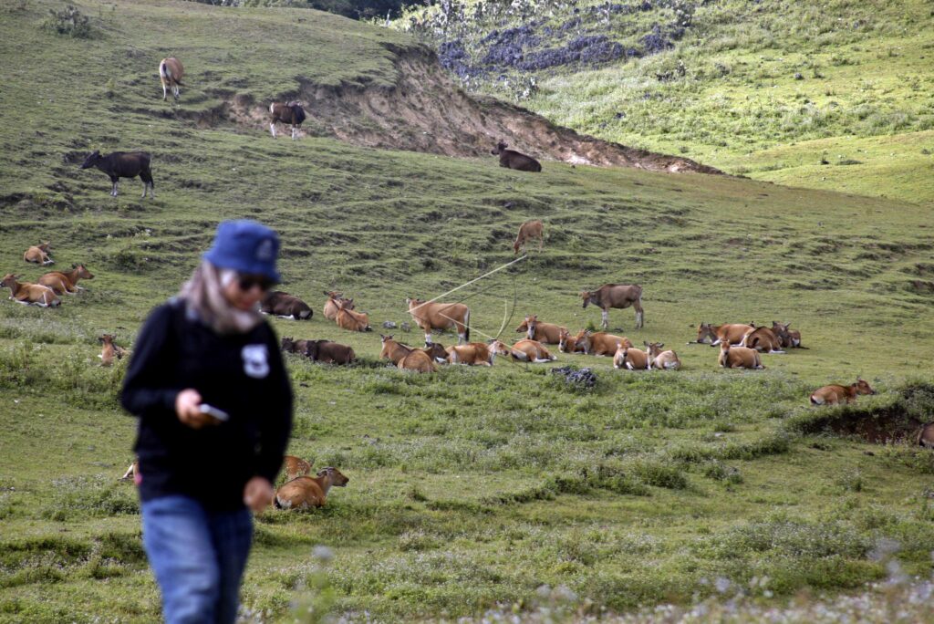 FULAN FEHAN SAVANNA NATURAL TOUR