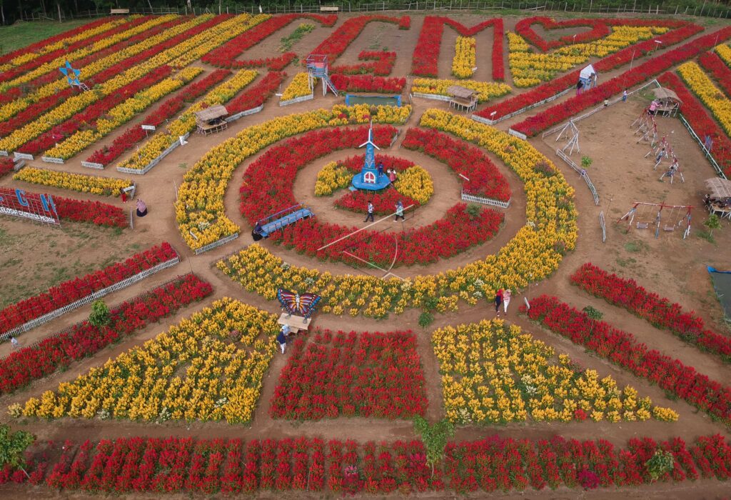 FLOWER PARK TOURISM IN DHARMASRAYA