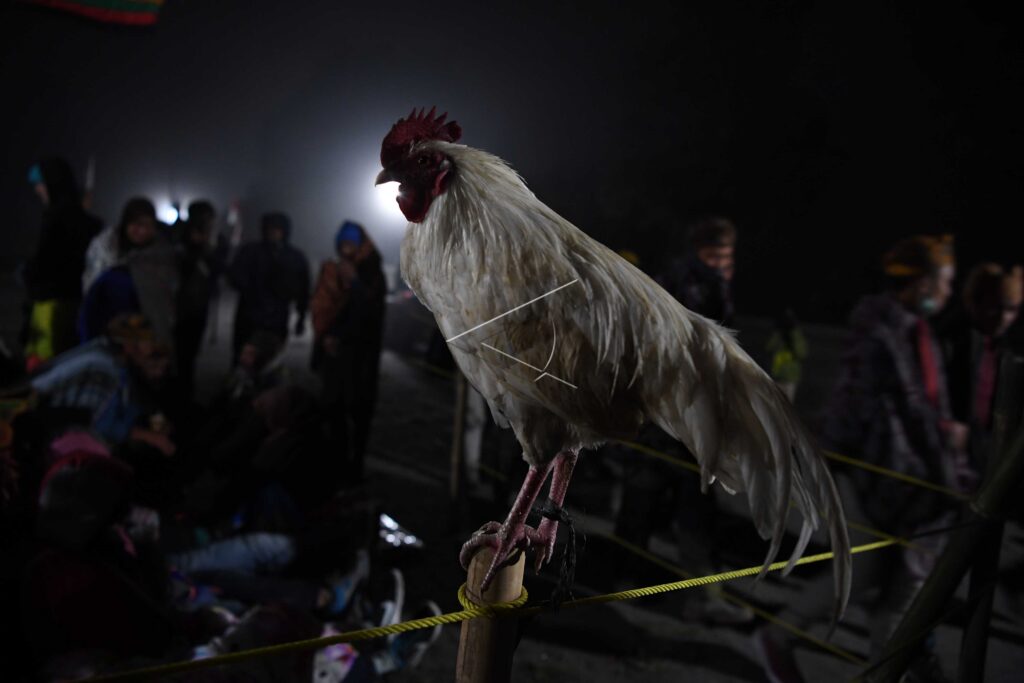 UPACARA YADNYA KASADA DI BROMO
